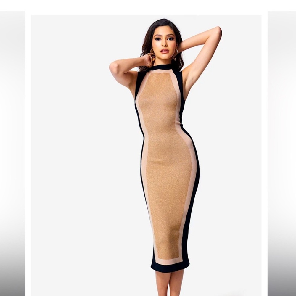Bebe Colorblock Sweater Dress
